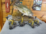 OKUMA  Coronado (Used/Rebuilt)