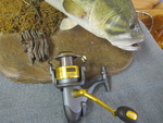 OKUMA  Coronado (Used/Rebuilt)