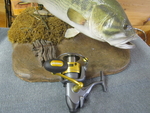 OKUMA  Coronado (Used/Rebuilt)