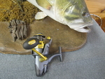 OKUMA  Coronado (Used/Rebuilt)