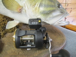 OKUMA StrataMaster (Used/Rebuilt)